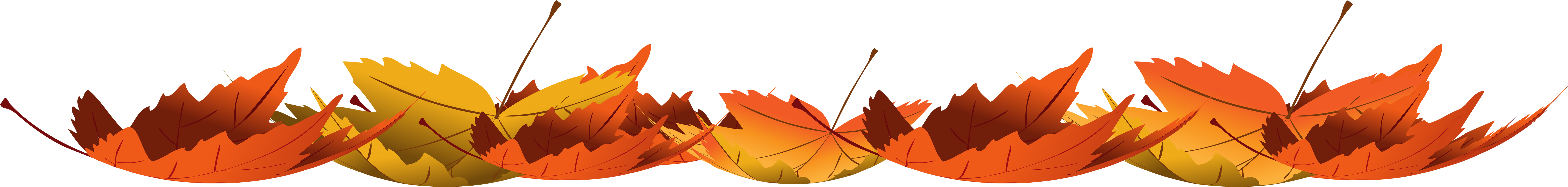 Fallen Autumn Leaves Transparent Png Image - Autumn Leaves Png Transparent (8000x1023)