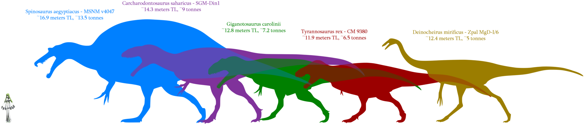 Jul 4 2013, - Spinosaurus Size Comparison (1932x414)