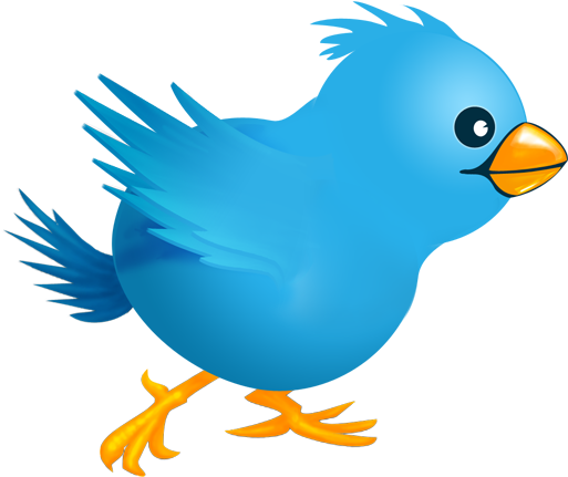 Twitter Bird - Funny Twitter (512x512)