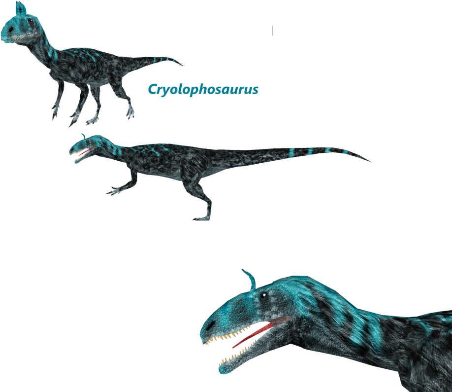 Posted Image - Illustration (979x816)