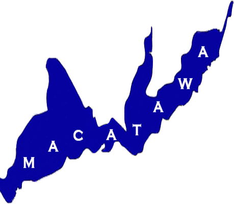 Alt Text - Alt Attribute (459x400)