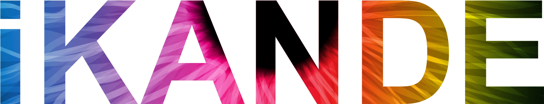 Logo - New York Excelsior (2212x791)