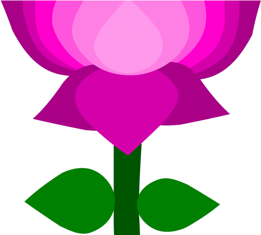 Lotus Clipart - Transparent Background Lotus Png (640x480)