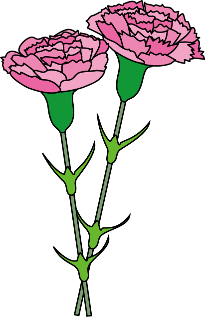 Carnation Cliparts - Garden Roses (411x633)