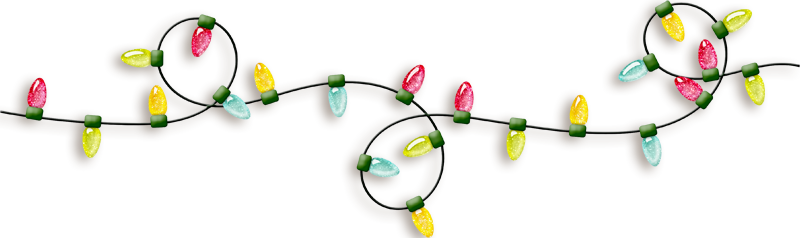 We Thank You For All The Continued Support - Christmas Lights Line Png (800x238)