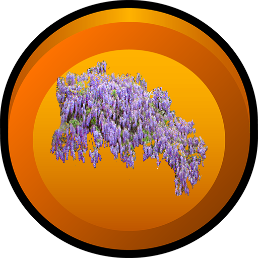 Wisteria Family - University Of North Alabama (512x512)