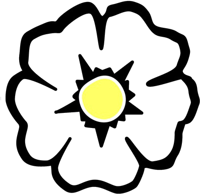 Wisteria Floribunda 'black Dragon' - Bloemen Vormen (438x438)