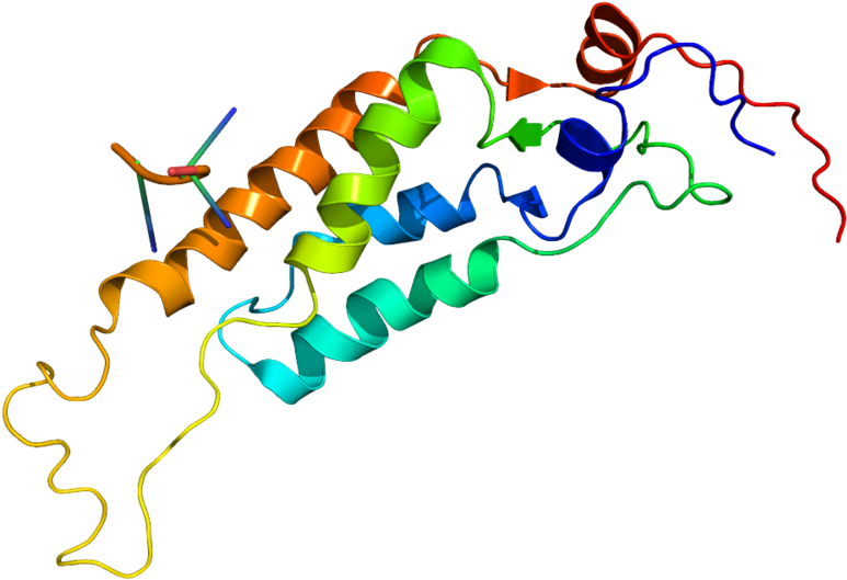 Tobacco Mosaic Virus (800x600)