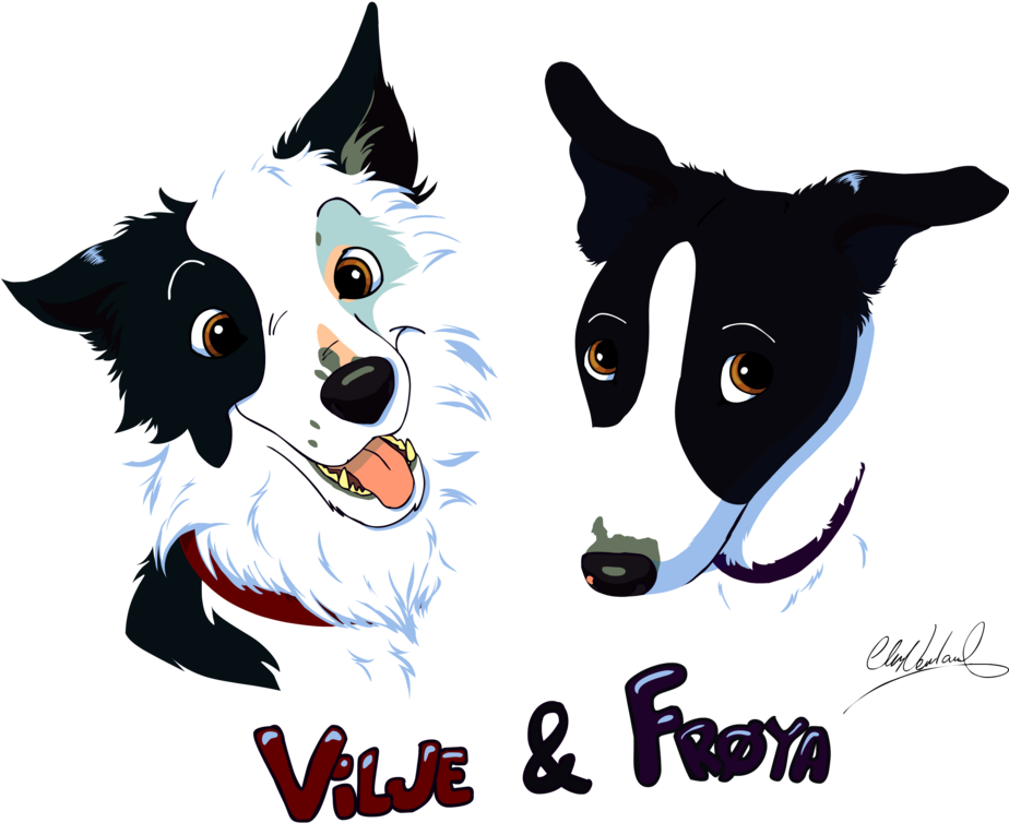 T-shirt Design - Border Collie - Border Collie Shirt (923x866)