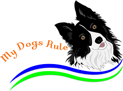 You Smarter Than A Border Collie? Queen Duvet (404x300)