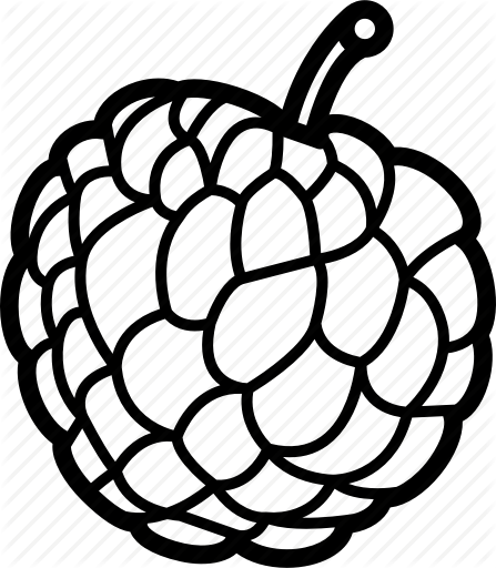 Most Popular Categories - Custard Apple Black And White (447x512)