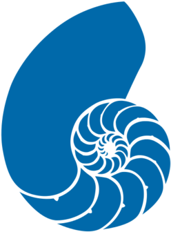 Blue Seashell Clipart Bclipart Free Clipart Images - Blue Nautilus Shell (700x525)