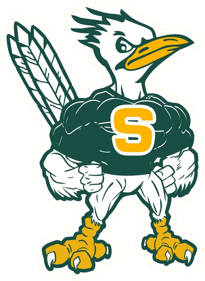 Interested In Swim - Saddleback High School Logo (657x900)
