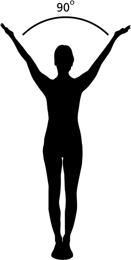 Comet Huyakutake Spanned 100 Degrees In The Sky - Silhouette (600x900)