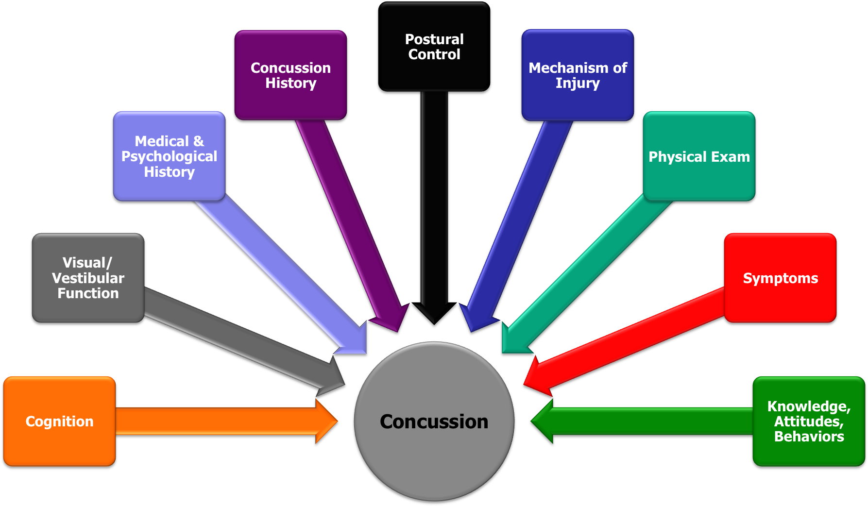 Multifaceted Fig2 - Risk Factors Of A Concussion (1792x1100)