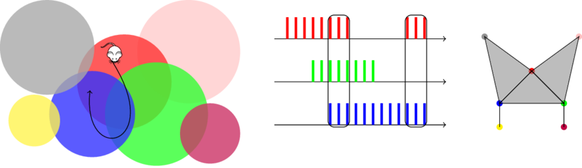 As The Animal Moves Along The Indicated Path , We Might - Diagram (850x245)