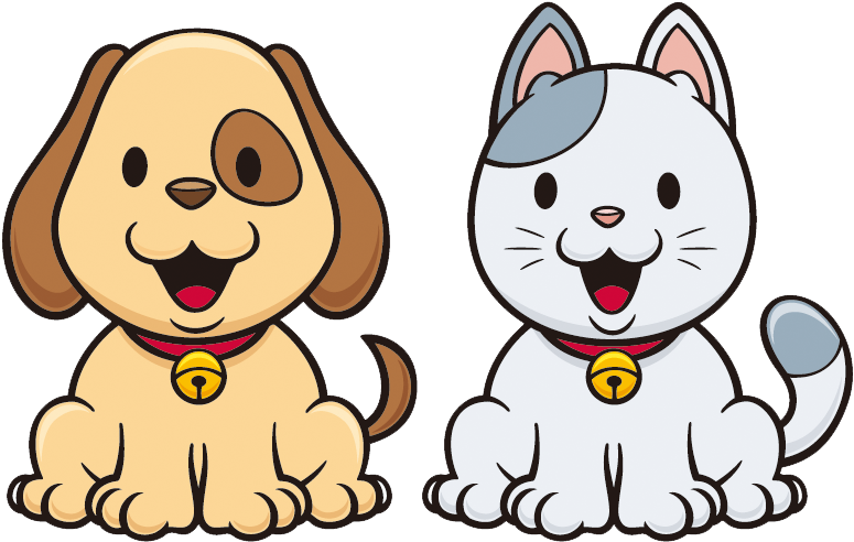 Dogu2013cat Relationship Dogu2013cat Relationship Kitten - Dogu2013cat Relationship Dogu2013cat Relationship Kitten (800x600)