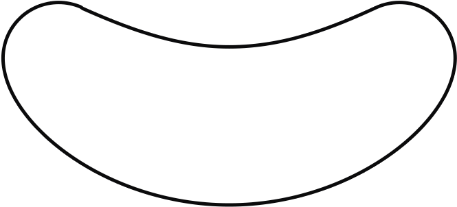 Lashxcel Lint Free Eyelash Extension - Line Art (800x450)