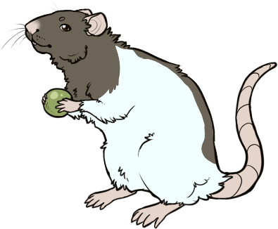 Life As A Lab Rat - Cartoon (400x337)