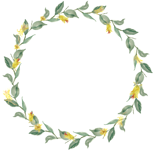Corona De Adorno Flor Planta Hoja Transparente De Material - Watercolor Logo For Weddings (650x621)