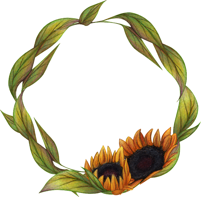 Pintado A Mano De Girasol Corona Png Material Transparente - Flower (1024x1005)