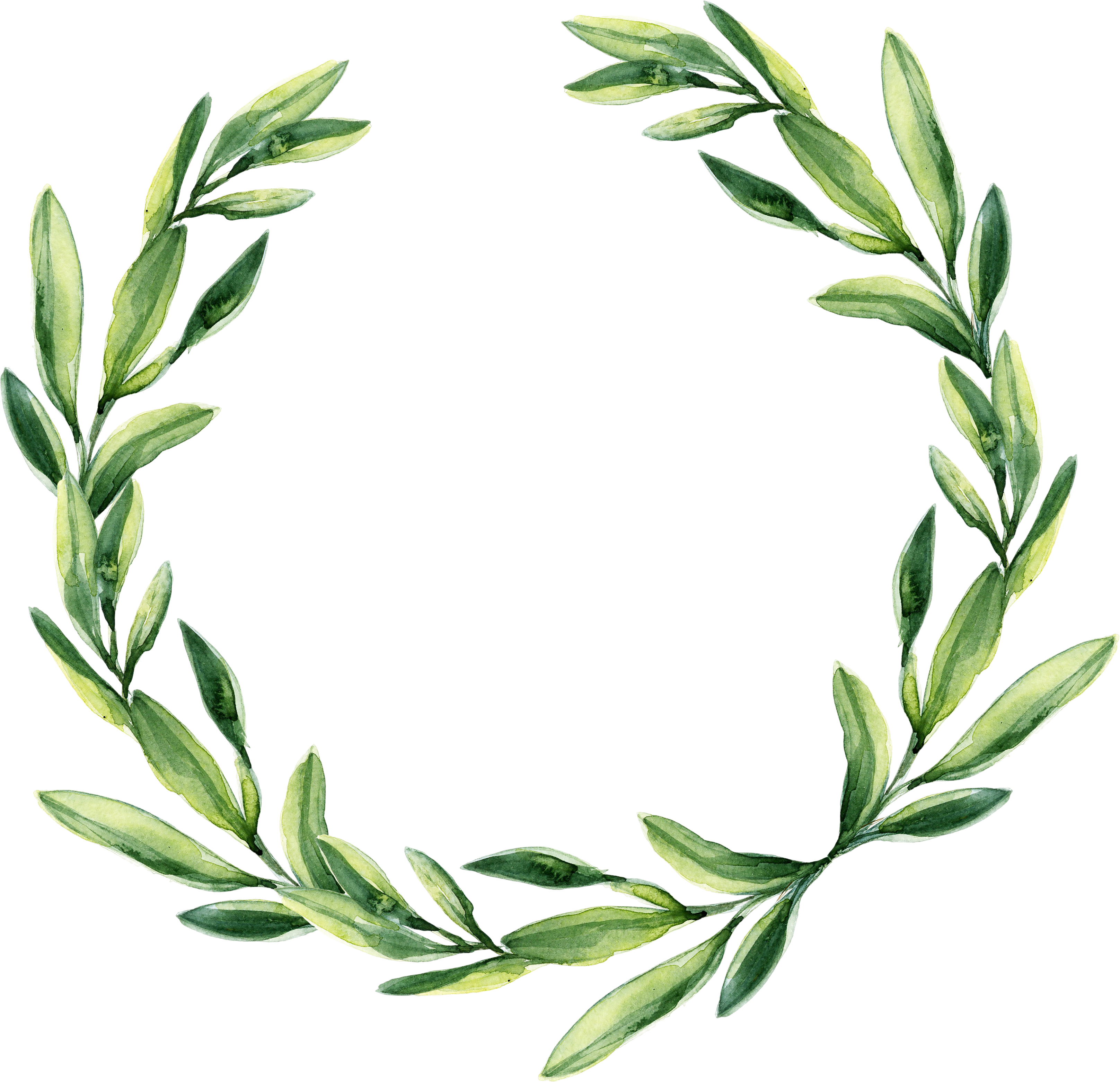 Corona De Flores De La Boda De La Acuarela De La Caligrafía - Leaf Garland Png (3233x3125)