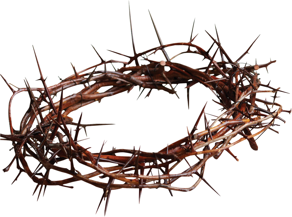 La Corona De Espinas, Símbolo De La Cruz Cristiana - Crown Of Thorns Png (1280x911)