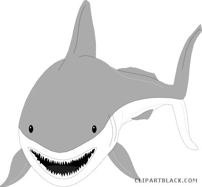 Grey Shark Animal Free Black White Clipart Images Clipartblack - Sharks With No Background (400x371)