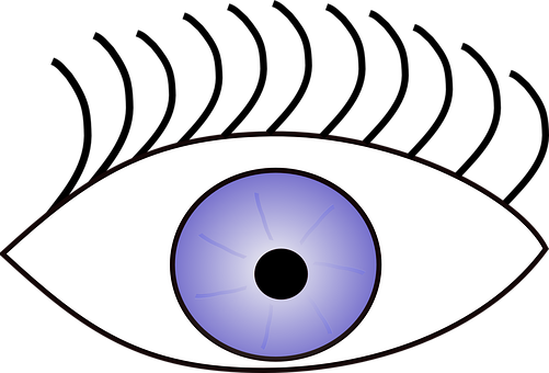 Eye, Eyelashes, Open, Eyelid, Vision - Eye Clip Art (501x340)