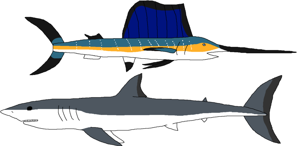 Fast Swimmers By Wildandnaturefan - Atlantic Blue Marlin (1024x513)