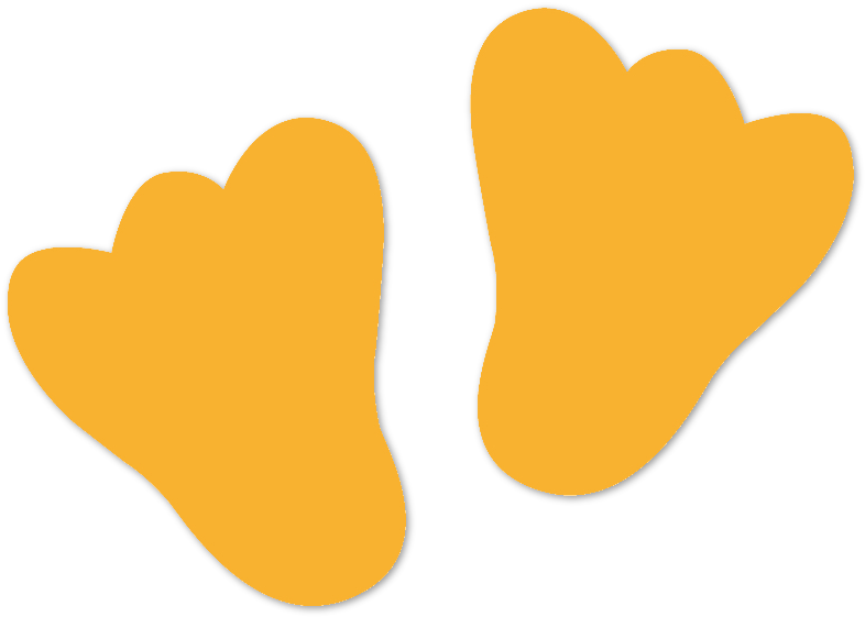 Us, Length - Duckfeet Usa (800x570)