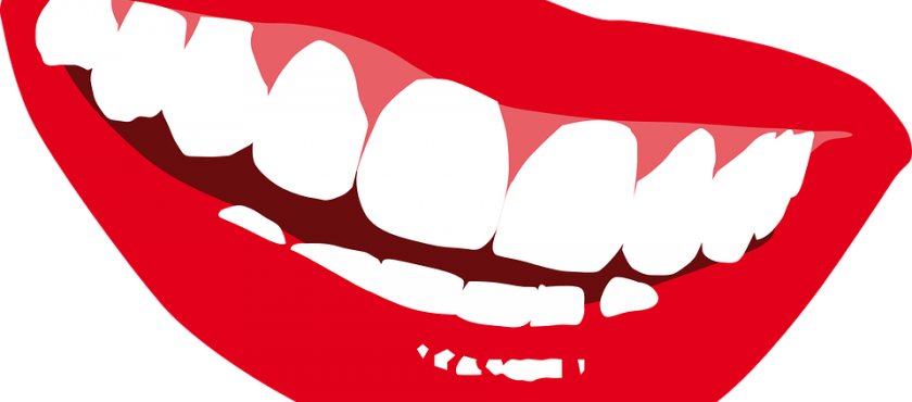 Employee Benefits Company Dental Insurance - Thank You Tooth Gifs (840x370)