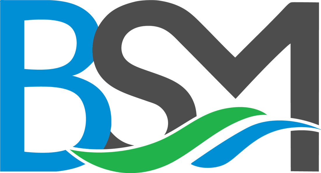 Baptist Student Ministry Tamu-cc // Del Mar College - Bsm Logo (1100x593)