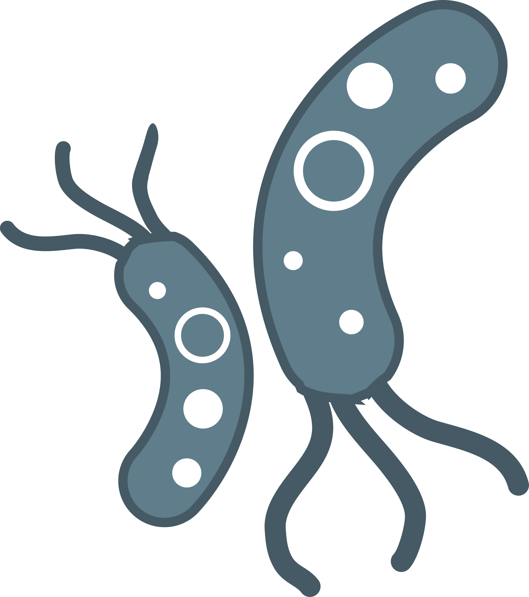 Bacteria Png File - Bacteria Png (1855x2093)