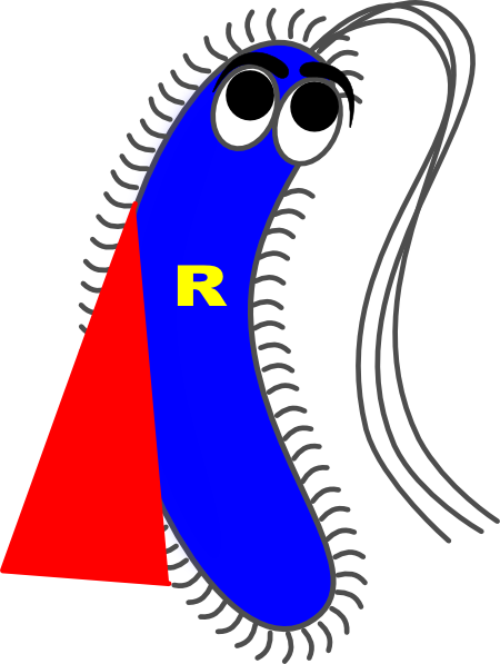 Gram Negative Bacilli Cartoon (450x597)