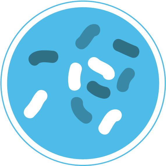 Bacterial Genome Sequencing - Bacteria Icon Png (588x577)