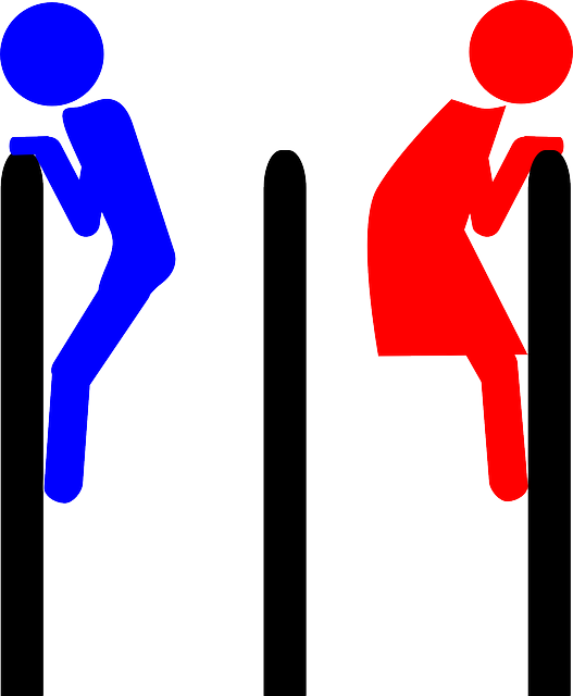 Woman, Sign, Icon, Symbol, Boy, Lady, Silhouette - Homem E Mulher Simbolo (527x640)