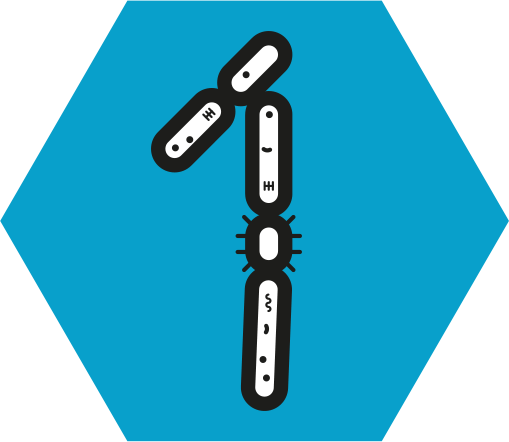 Friend Or Foe - Illustration (509x442)