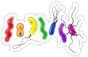Fly Your Rainbow Flag Microbiology-style With This - Illustration (375x360)