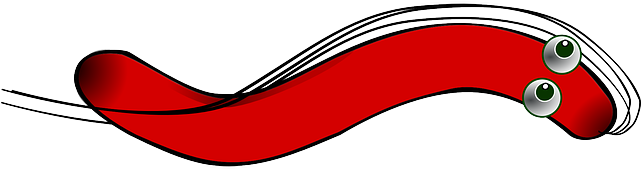 Bacteria, Helical, Virus, Illness, Bacterium, Infection - Bacteria (640x320)