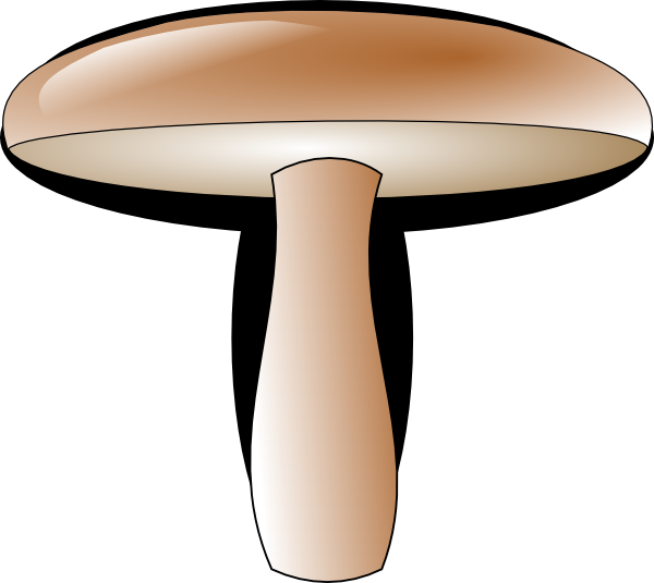 Mushroom - Shiitake (600x535)