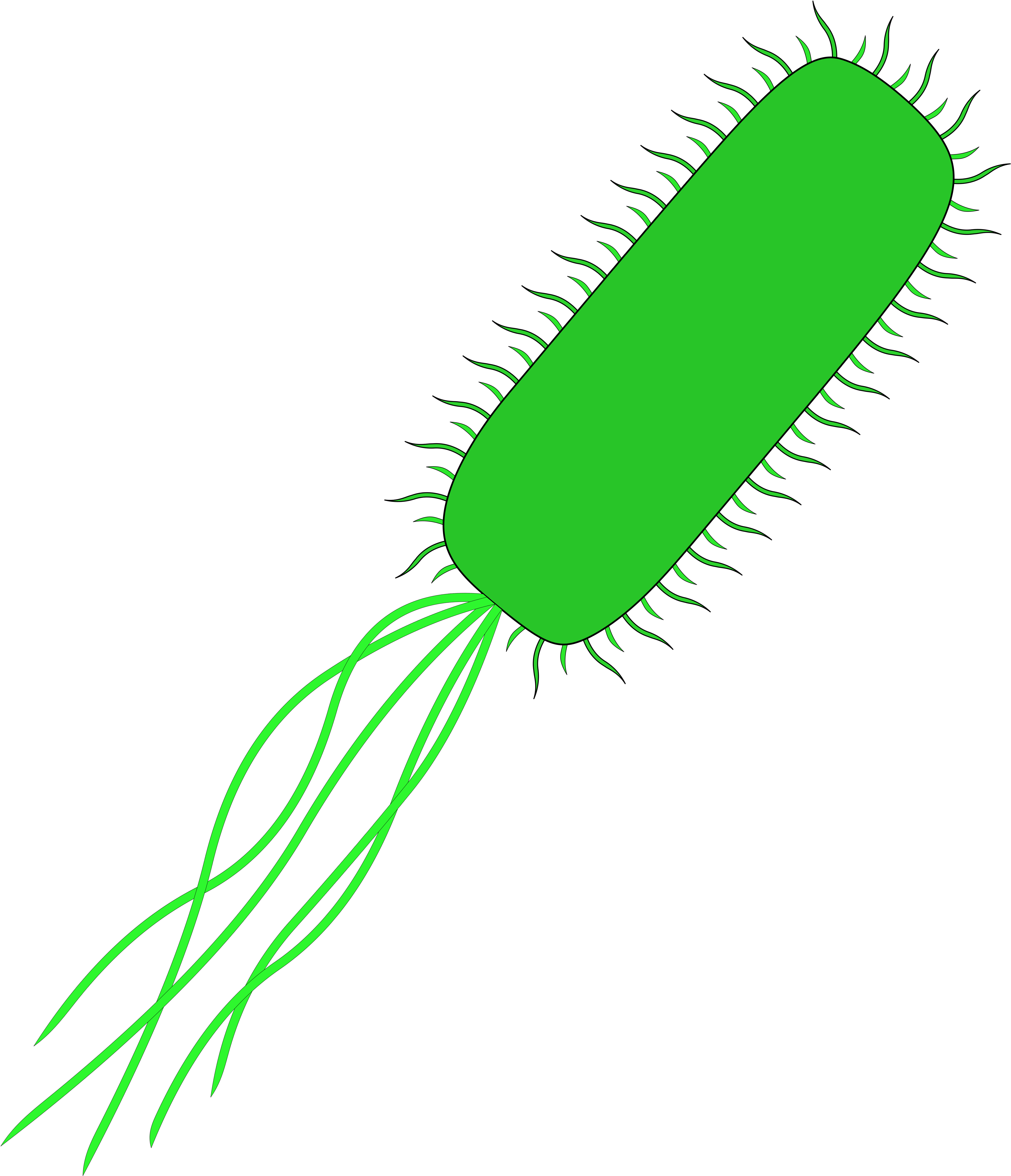 Coli Chromosome Abnormality Bacteria Clip Art - E Coli With No ...