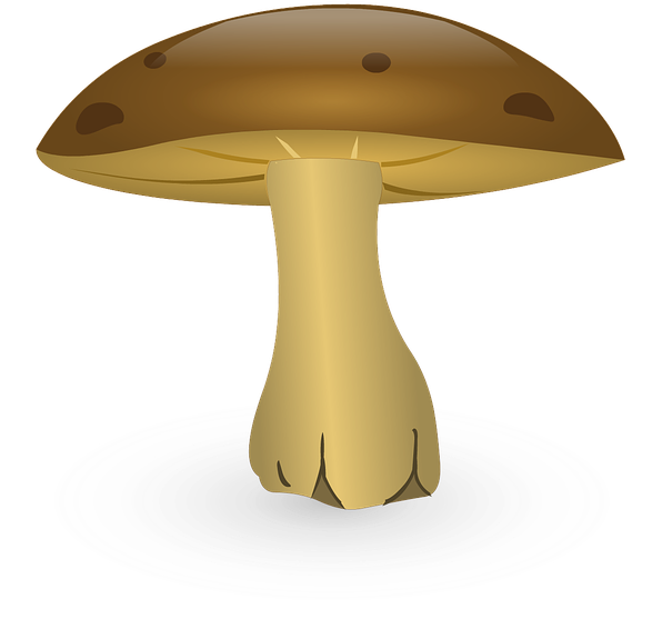 Mushroom Cartoon 20, Buy Clip Art - Mushroom Cartoon (960x698)
