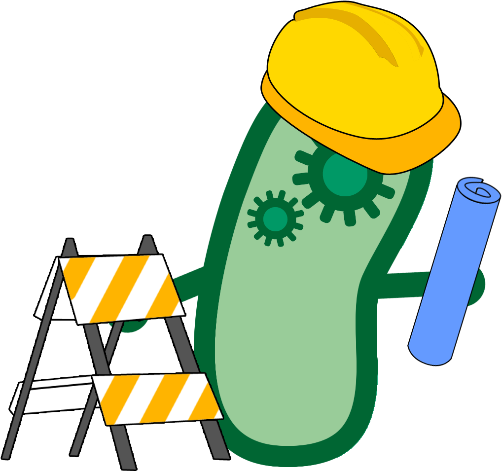 In Order To Put Our Toxin-detecting Bacteria To Use, - International Genetically Engineered Machine (1159x1061)