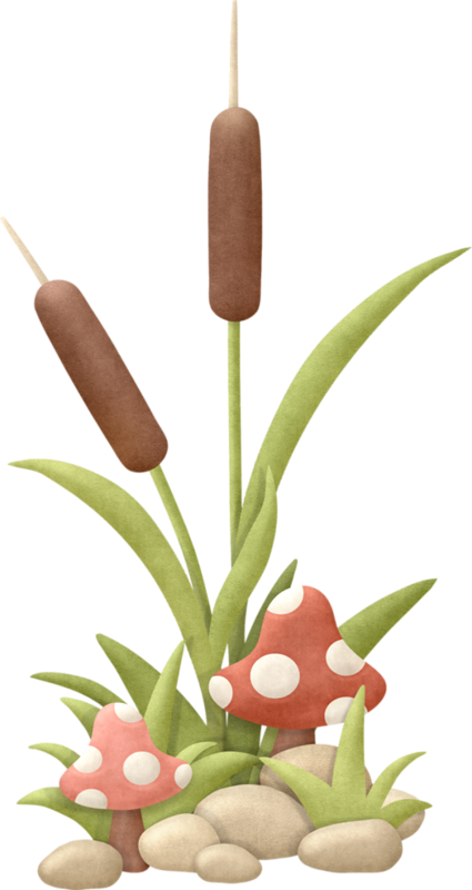 Mushroom Clipart - Flores De Pantano (425x800)