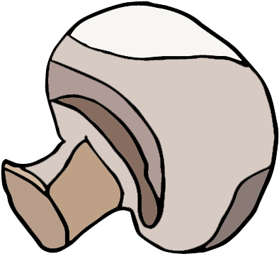 Mushroom Icon - Icon (467x422)