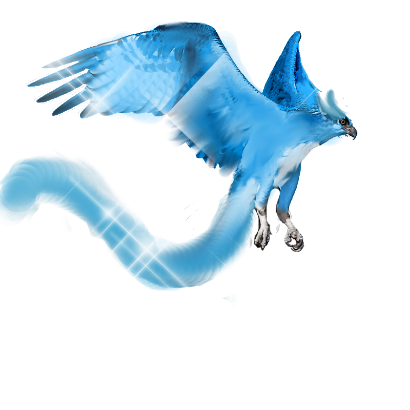 Real Pokemon Articuno Zapdos Moltres Images - Realistic Articuno Png (800x800)