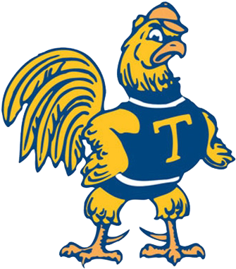 Trinity Womens Lacrosse Data - Trinity College Athletics Logo (380x380)
