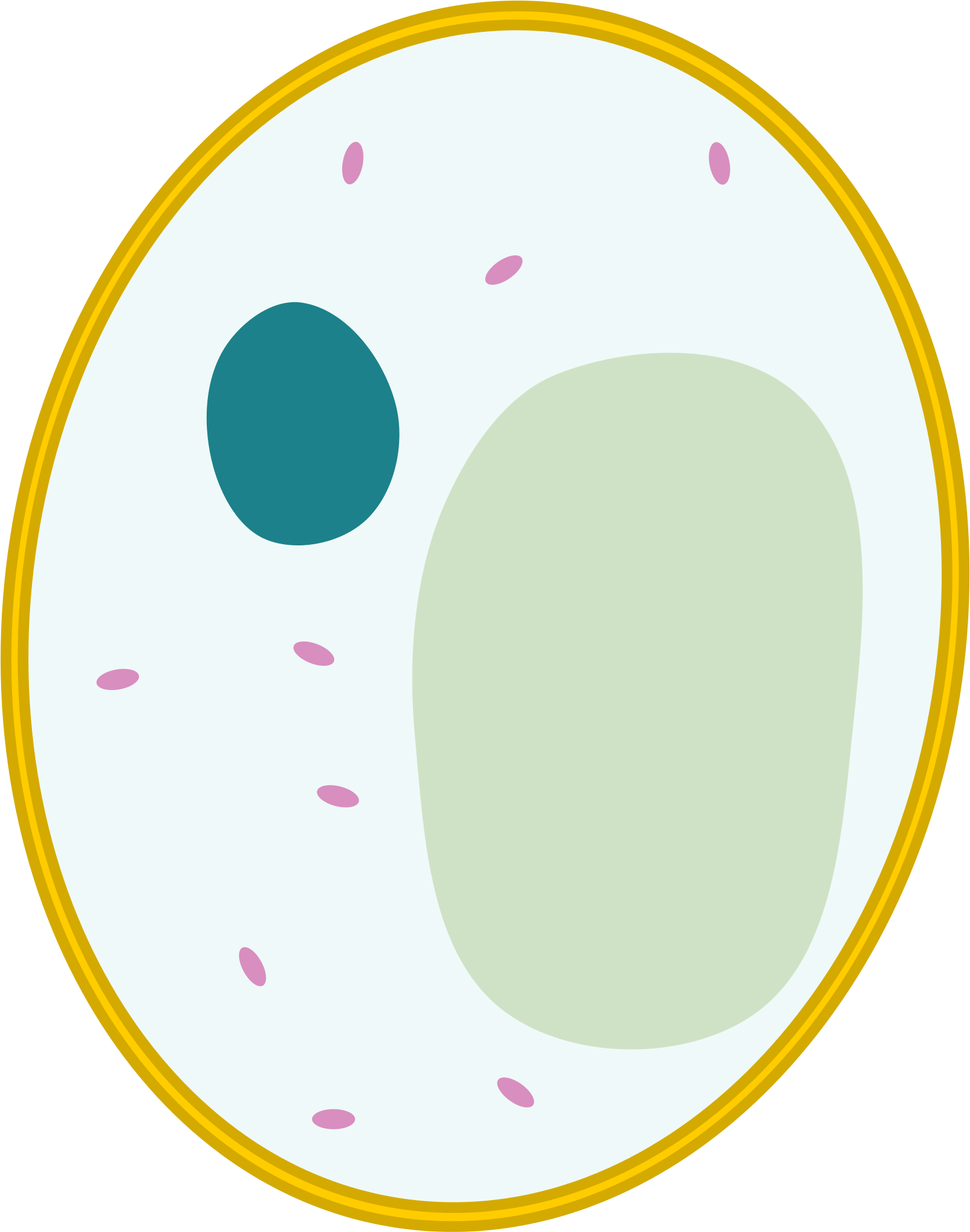 Open - Circle (2000x2454)