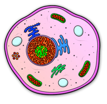 John's Journey Into A Cell" - One Horned Flying Purple People (660x513)